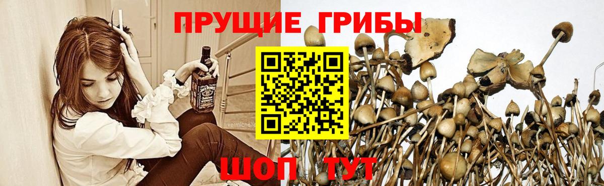 NBOMe Грозный