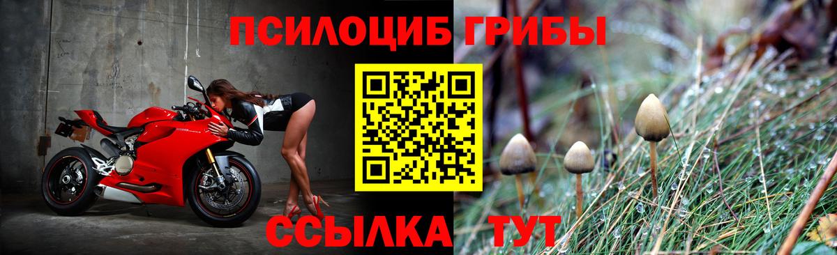 Галлюциногенные грибы MAGIC MUSHROOMS Грозный